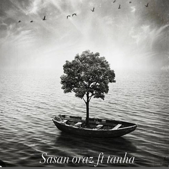 ساسان اوراز و تنها - تنهای تنهایم